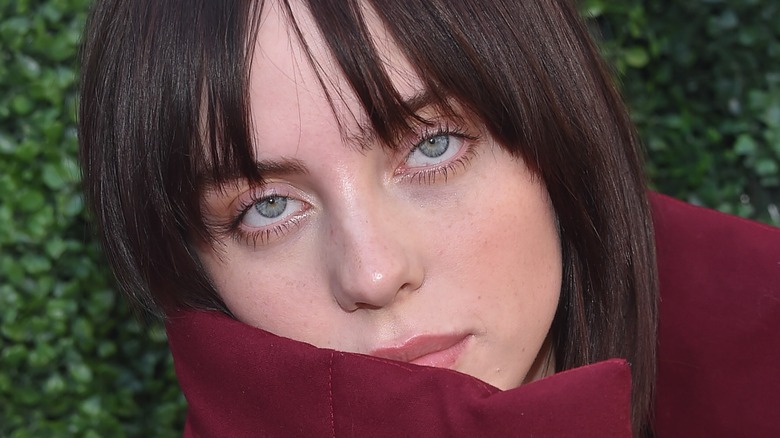 Billie Eilish in burgundy