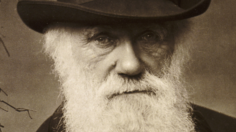 charles darwin 1880