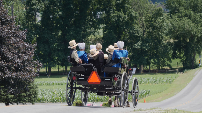 Amish family in a buggy