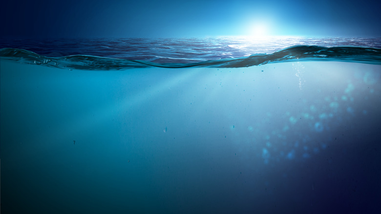 Cross-section underwater ocean view