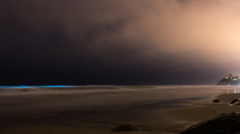 Pacific Ocean at night