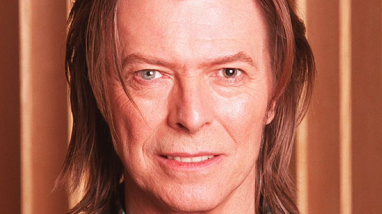 David Bowie in 2001