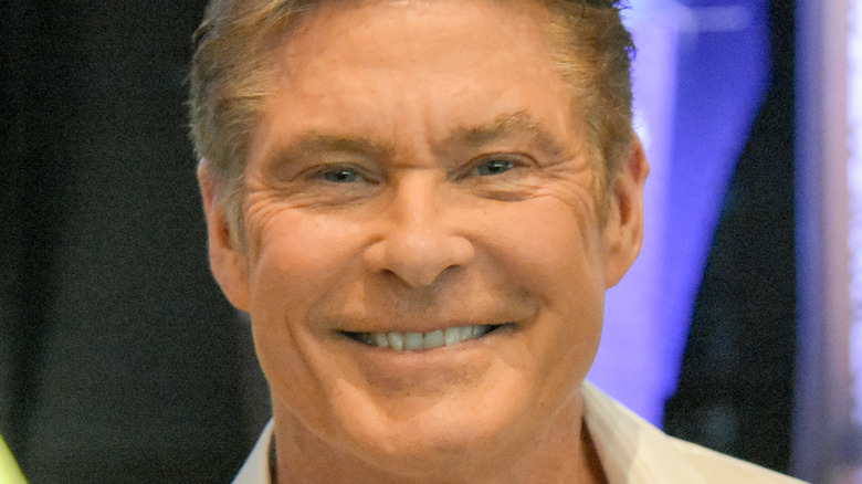 David Hasselhoff smiling