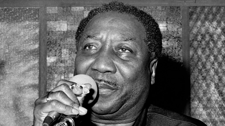 Muddy Waters hand on microphone