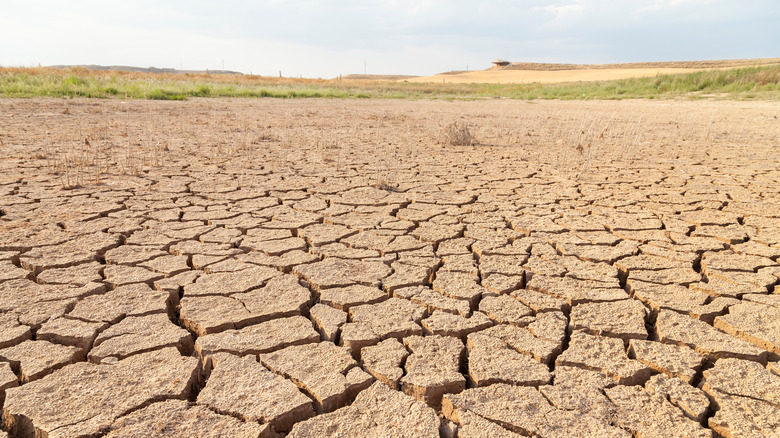 Drought in Spain