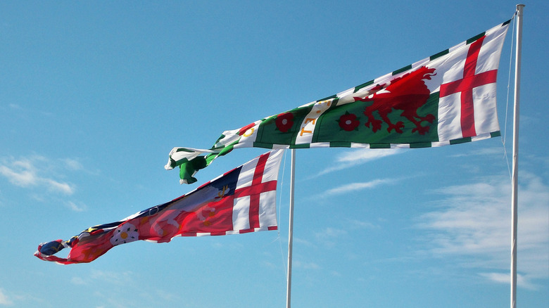 Battle of Bosworth flags