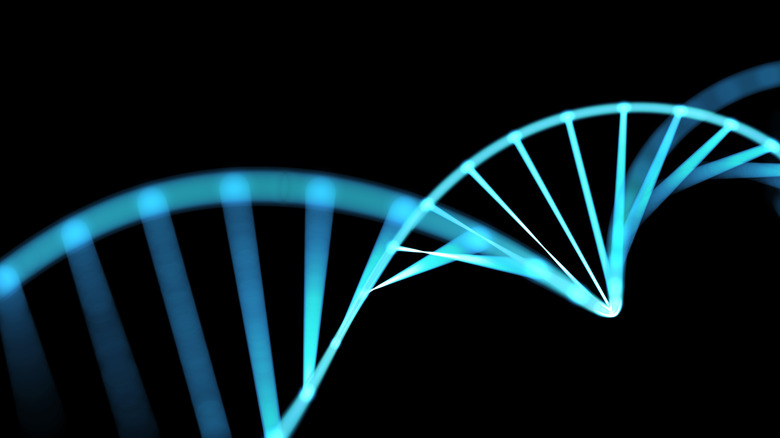 DNA helix