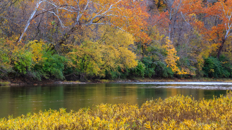 Little Miami River
