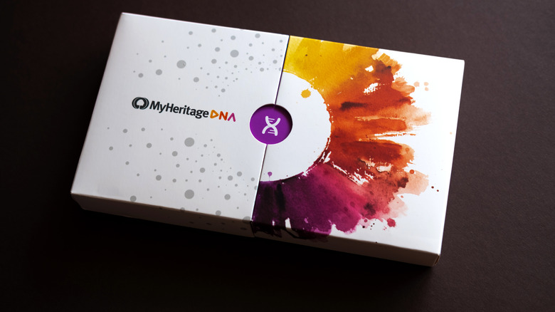 MyHeritage test 
