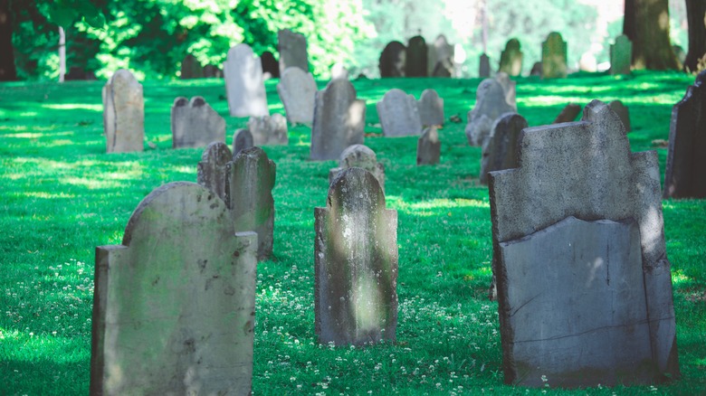 headstones in green grass