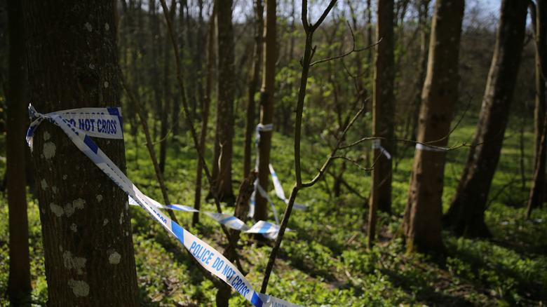 forest crime scene