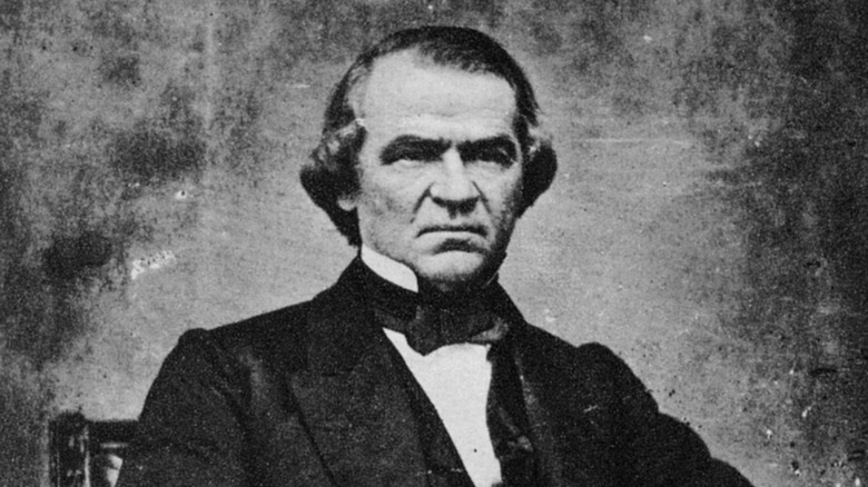 andrew johnson photo portrait