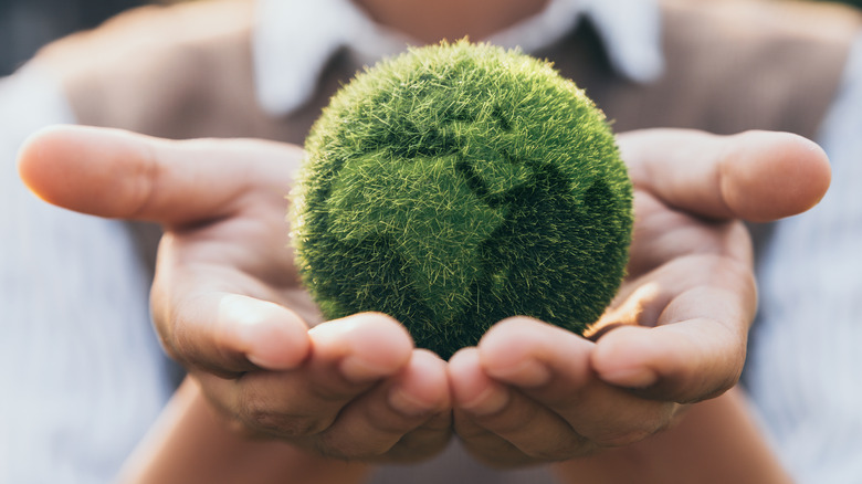 Hands holding a small Earth