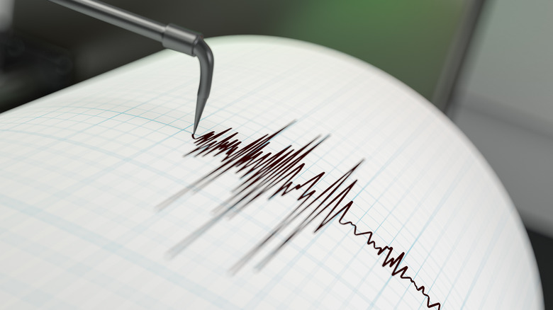 Earthquake Seismograph