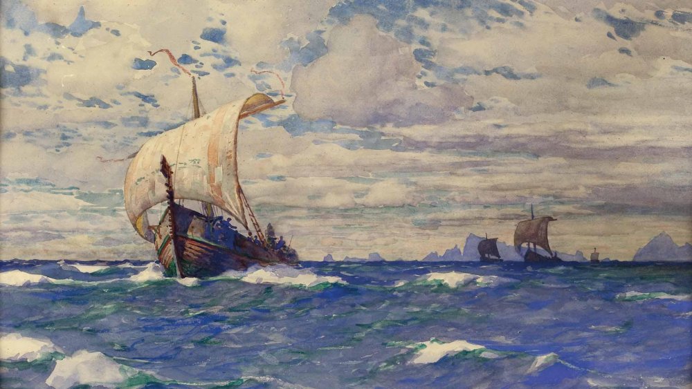 Viking ships