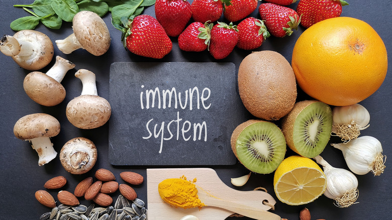 Foods needed for the immune system