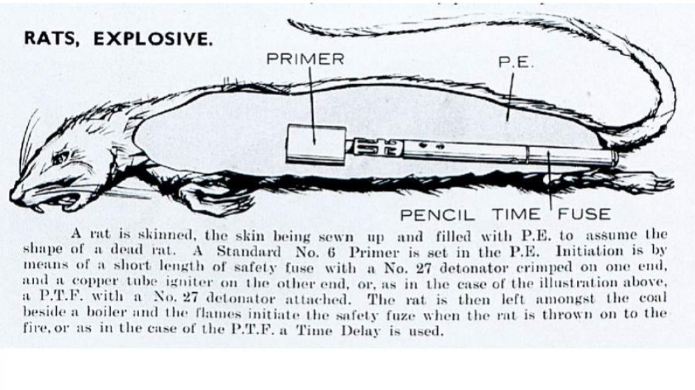 Rat bomb diagram