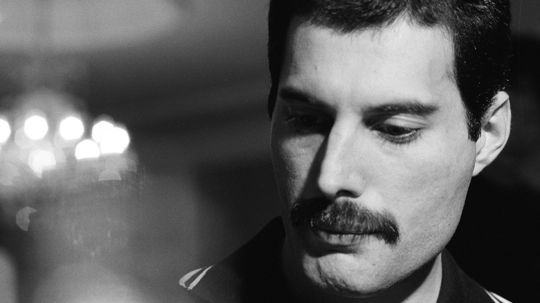 Freddie Mercury looks down