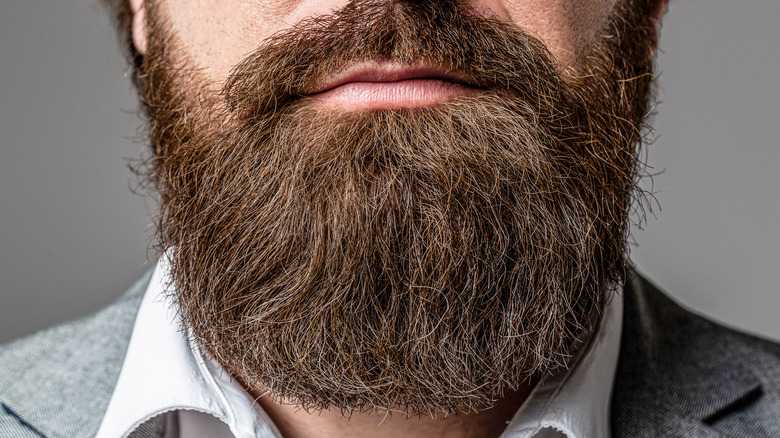 Bushy beard