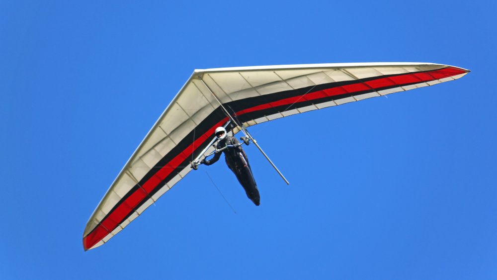 Hang glider