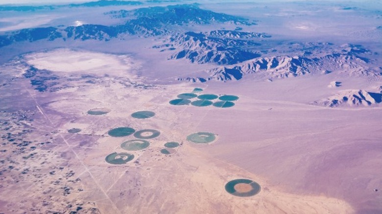 area 51 farm