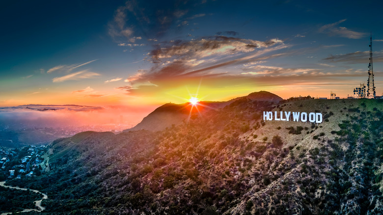 Hollywood sunset