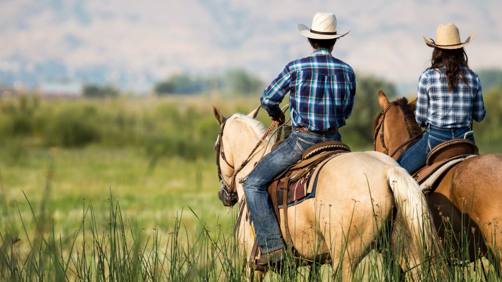 Pants and horses come together