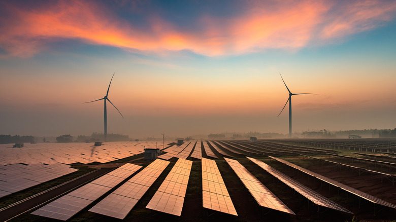 Solar panel array with windmills in background