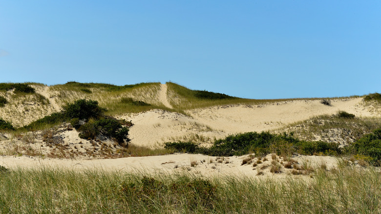 Sand dunes in Provincetown