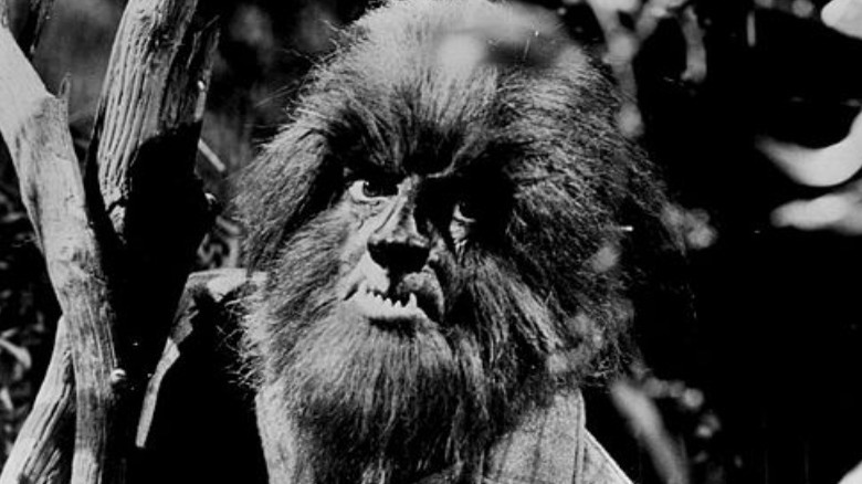 Werewolf in the woods