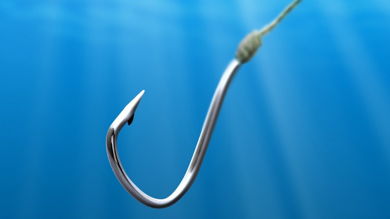 Underwater close-up of fish hook