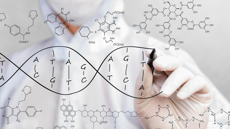 Mapping genome DNA structure