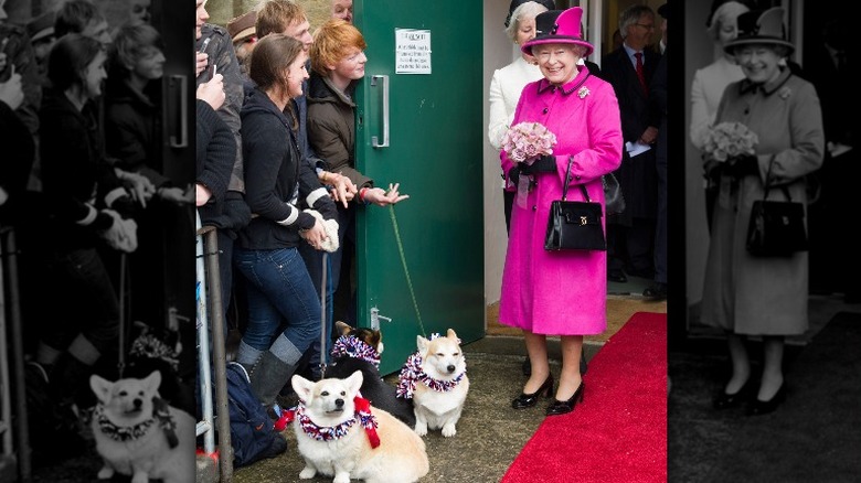Queen Elizabeth II and corgis