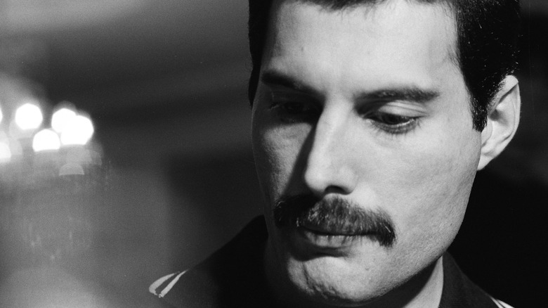 Freddie Mercury monochrome photograph