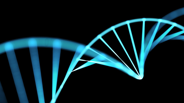 DNA
