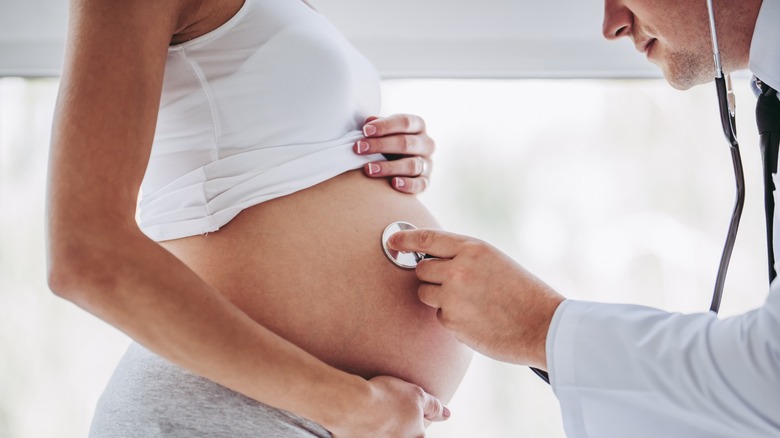 Doctor examines pregnant female