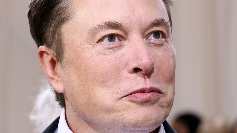 Elon Musk looks up