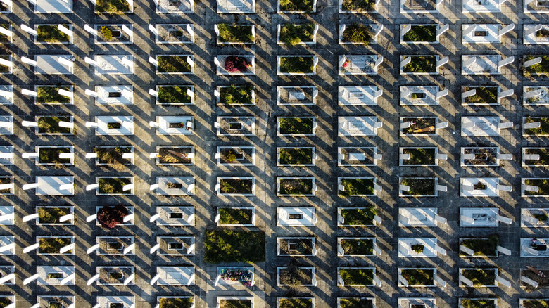 Aerial view of a cemetery