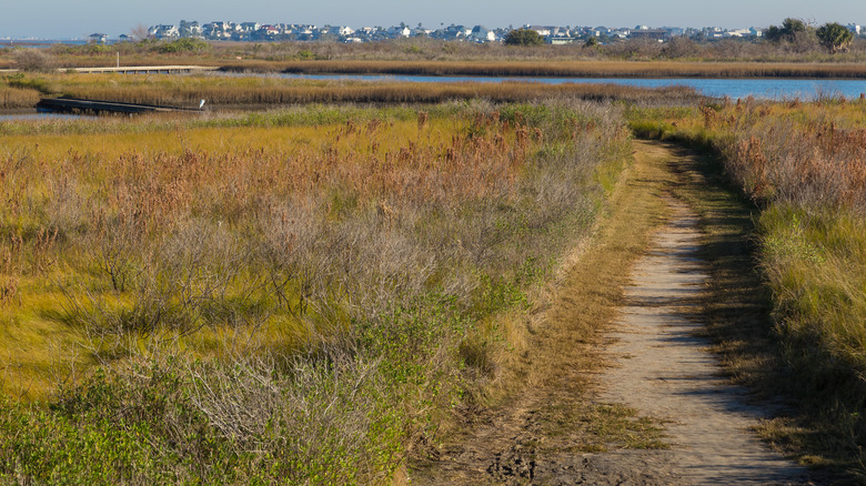 Galveston Texas park