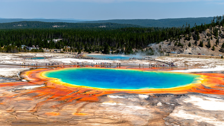 Prismatic spring in Yellowstone National Park