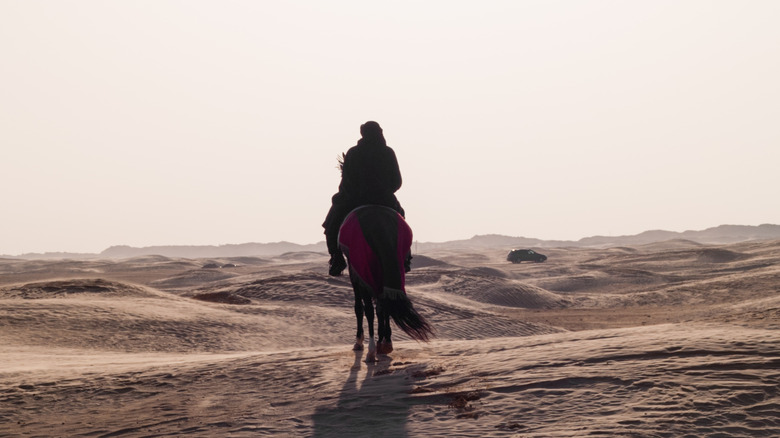 lone rider in desert