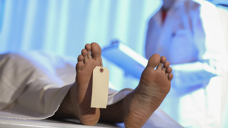 Doctor surveying corpse in morgue