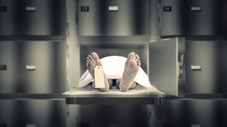 Corpse morgue refrigeration unit