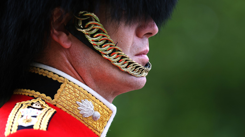 a british royal guardsman