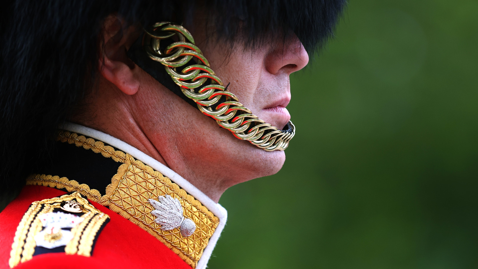 How Much The British Royal Guard Members Get Paid