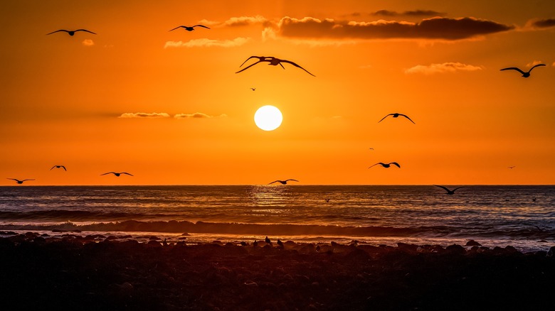 Sun over the ocean