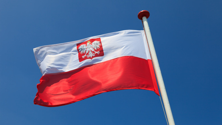Polish flag w/eagle