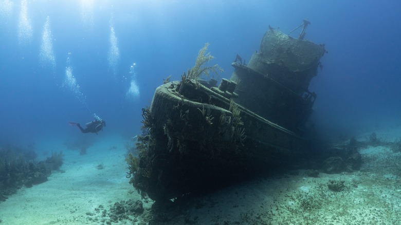 Photo of shipwreck in caribbean