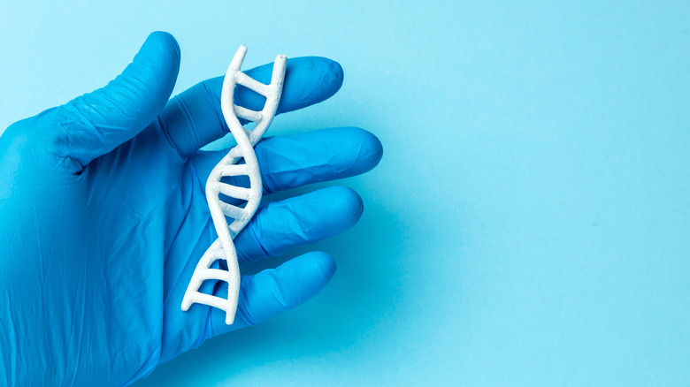 DNA helix