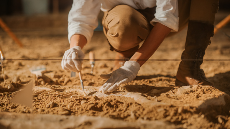 Archaeologist 